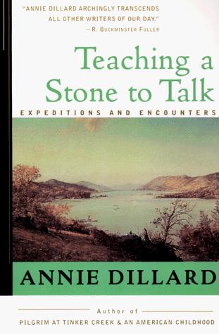 Teaching a Stone to Talk cover