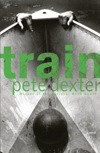 Train cover