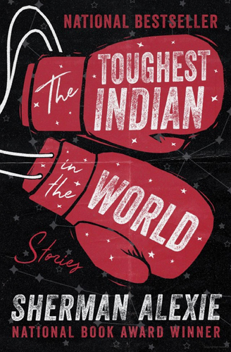 Toughest Indian in the World cover
