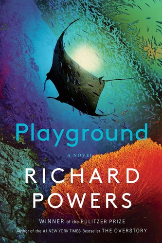 Playground - a Novel cover