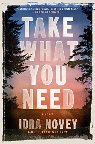 Take What You Need cover