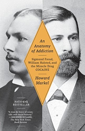 An anatomy of addiction cover