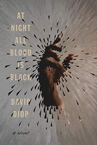 At Night All Blood Is Black cover