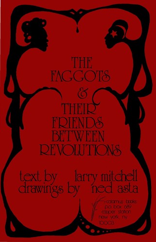 The faggots & their friends between revolutions cover