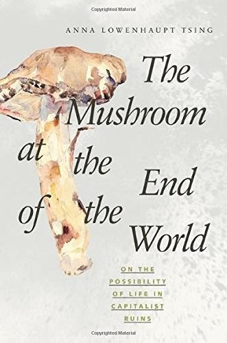 The mushroom at the end of the world cover