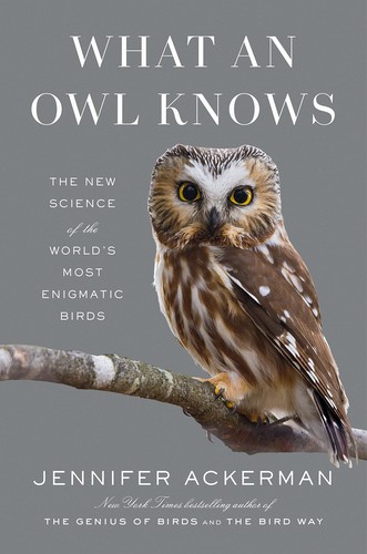 What an Owl Knows cover